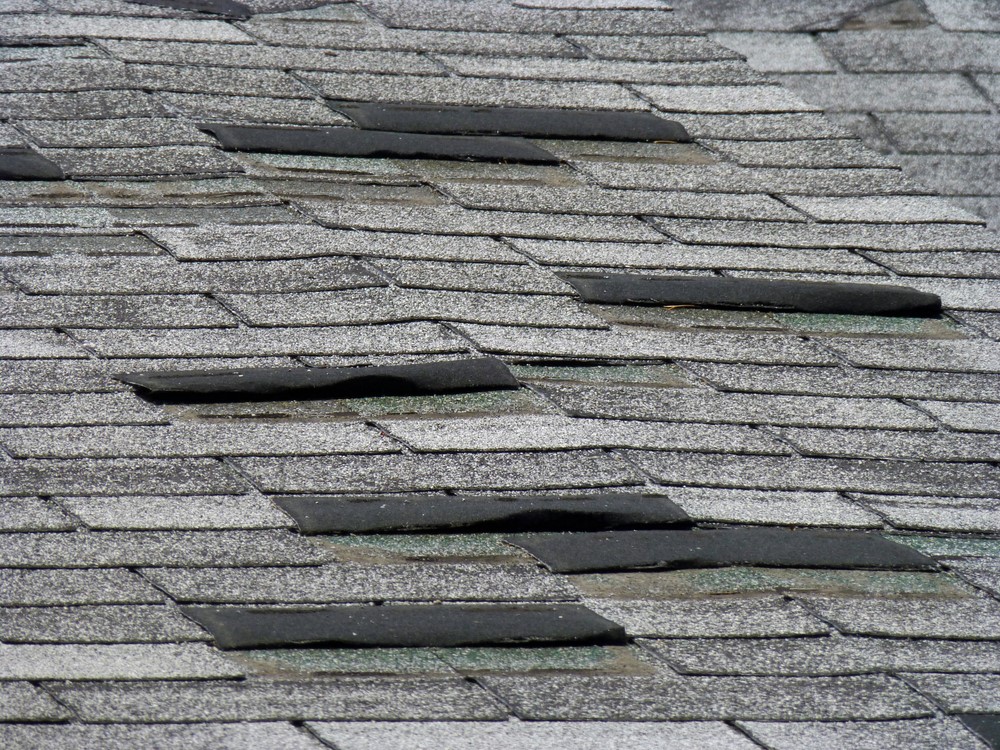 roof repair services in minnesota
